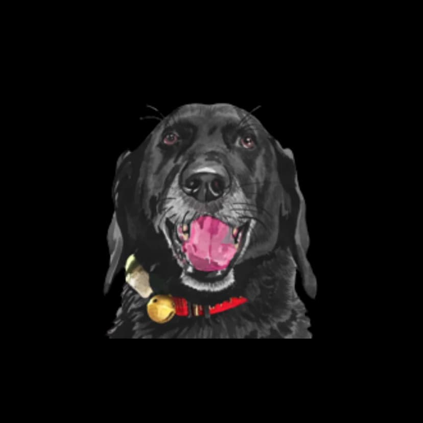 Happy the Labradoodle, our mascot and inspiration