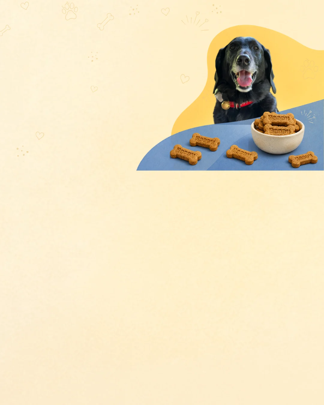 Happy the dog sitting behind a table with a bowl of HAPPY treats
